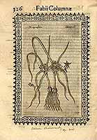  no thumbnail available