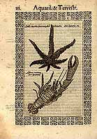  no thumbnail available