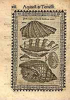  no thumbnail available