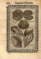  no thumbnail available