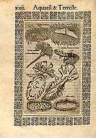  no thumbnail available