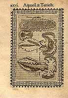  no thumbnail available