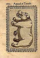  no thumbnail available