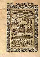  no thumbnail available