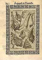  no thumbnail available