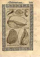  no thumbnail available