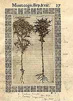  no thumbnail available