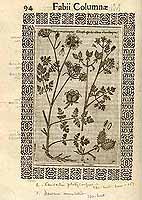  no thumbnail available