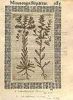  no thumbnail available