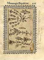  no thumbnail available