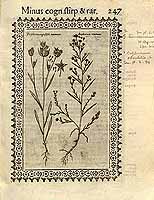  no thumbnail available