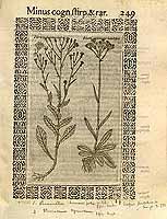  no thumbnail available