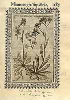  no thumbnail available