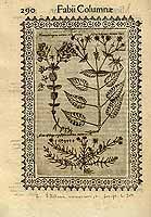  no thumbnail available