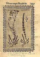  no thumbnail available