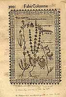  no thumbnail available