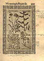  no thumbnail available