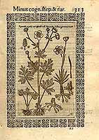  no thumbnail available