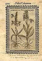  no thumbnail available