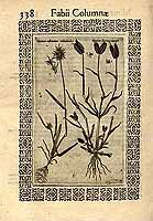  no thumbnail available