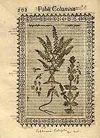  no thumbnail available