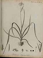  no thumbnail available