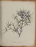  no thumbnail available