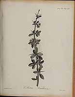  no thumbnail available