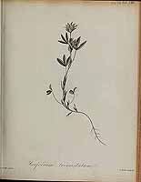  no thumbnail available