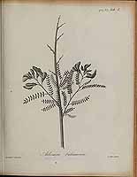  no thumbnail available