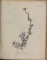  no thumbnail available