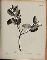  no thumbnail available