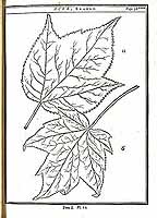  no thumbnail available