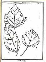  no thumbnail available