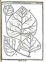  no thumbnail available