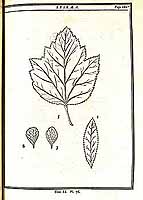  no thumbnail available