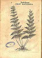  no thumbnail available