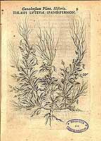  no thumbnail available