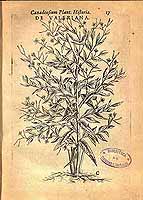  no thumbnail available