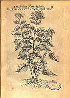  no thumbnail available