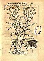  no thumbnail available