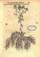  no thumbnail available