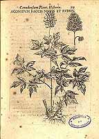  no thumbnail available