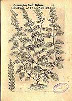  no thumbnail available