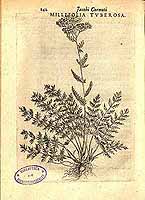  no thumbnail available