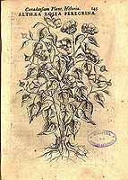  no thumbnail available