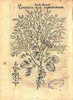  no thumbnail available