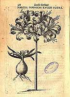  no thumbnail available