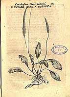  no thumbnail available