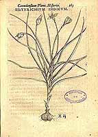  no thumbnail available